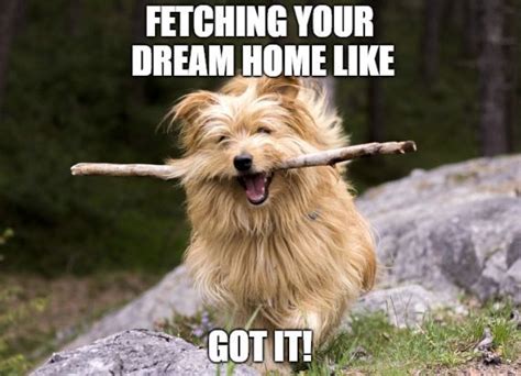 Real Estate Meme Fetching Your Dream Home Real Estate Memes Real