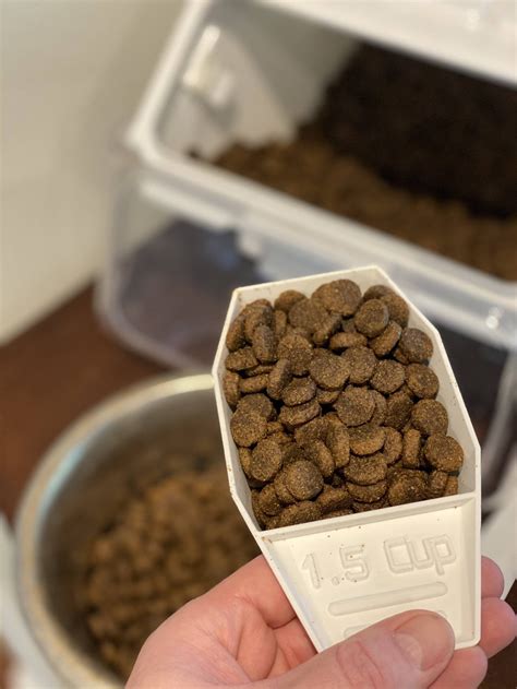 Dog Food 15 Cup Scoop Saves Needing To Measure 1460 Scoops A Year