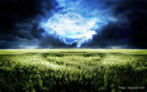 Download Storm Clouds Over Wheat Field Wallpaper Background Wallpaper Hd