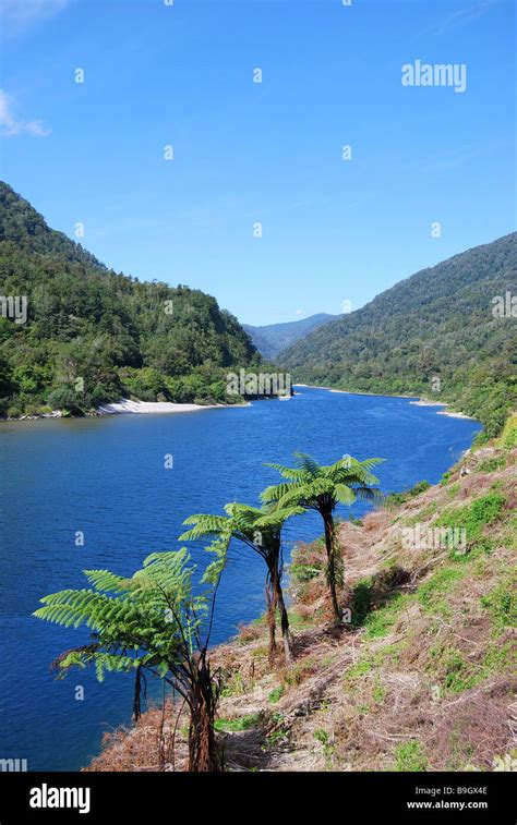 Lower Buller Gorge Scenic Reserve West Coast South Island New