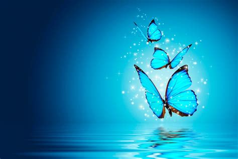 Free Download Butterfly Blue Water Magical 4k Wallpaper