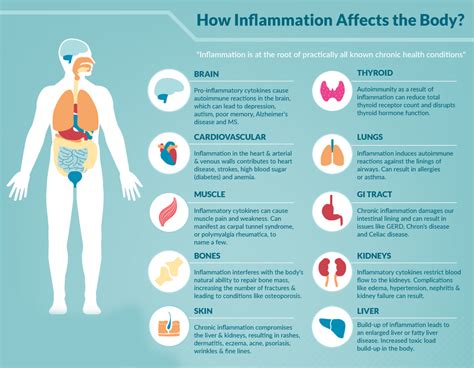 Inflammation Understanding How It Can Affect Your Long Term Health