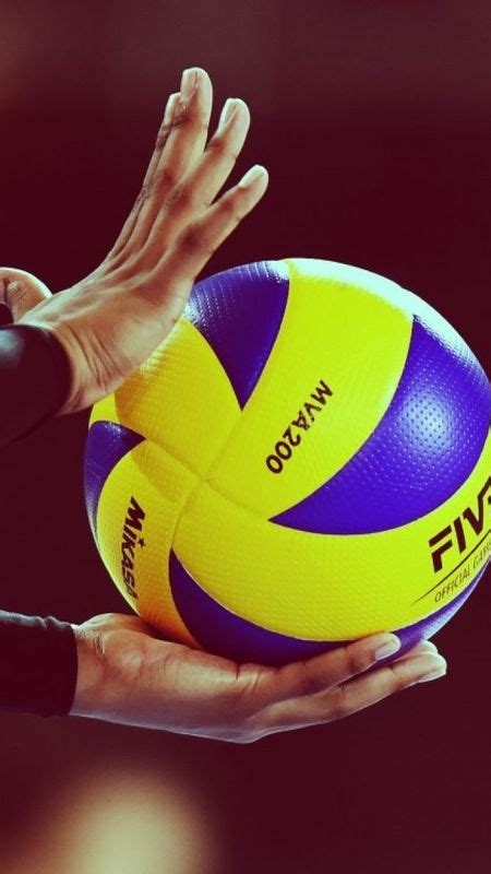 volleyball volleyball match wallpaper download mobcup
