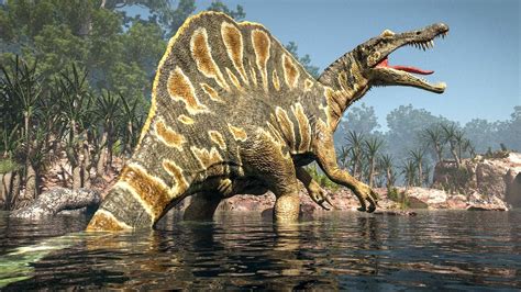 Spinosaurus Dinosaur Facts