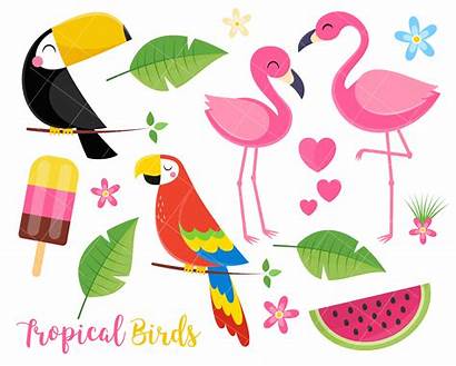 Tropical Flamingo Summer Clipart Toucan Parrot Birds