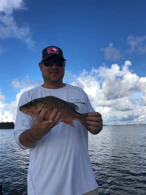 Destin Florida Fishing Report For Inshore Bay Fishing And