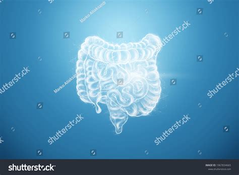 5392 Doctor Constipation Images Stock Photos And Vectors Shutterstock