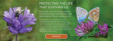 Protecting The Life That Sustains Us Xerces Society Society Ecosystems