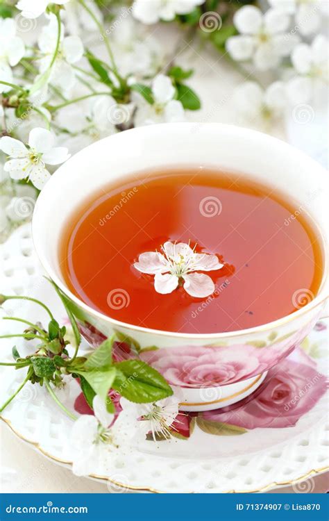 Jasmine Tea With Jasmine Herb Flower Stock Image Image Of Blooming