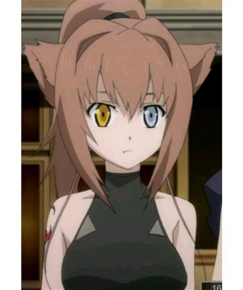 Anime Characters With Cat Ears Anime Amino
