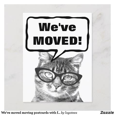 Weve Moved Moving Postcards With Funny Cat Moving Cards