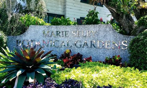 Marie Selby Botanical Gardens Sarasota All You Need To Know Before