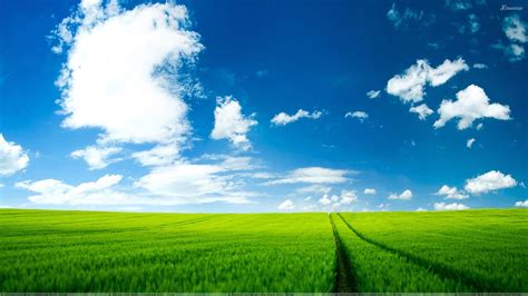 Download 4k backgrounds to bring personality in your devices. Summer Green Fields Background Image HD Desktop Wallpaper ...