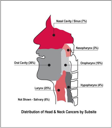 Hpv Changing The Face Of Head Neck Cancer National Foundation Of Hot