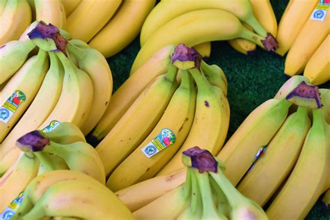 Gmo Bananas Vs Organic Does It Matter Which Ones You Buy
