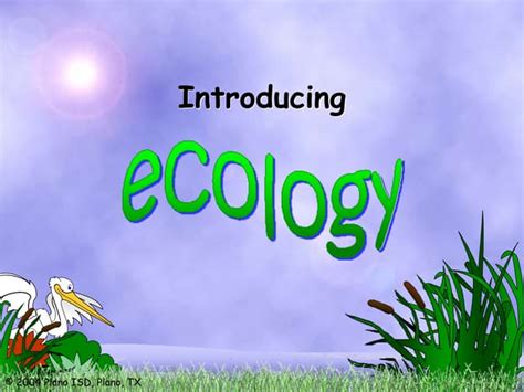 Ecology Powerpointppt
