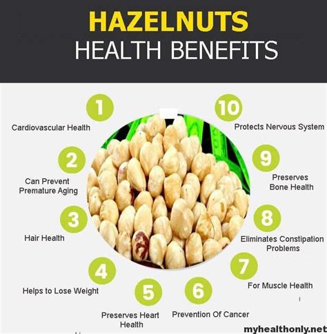 Marvelous Health Benefits Of Hazelnut My Health Only