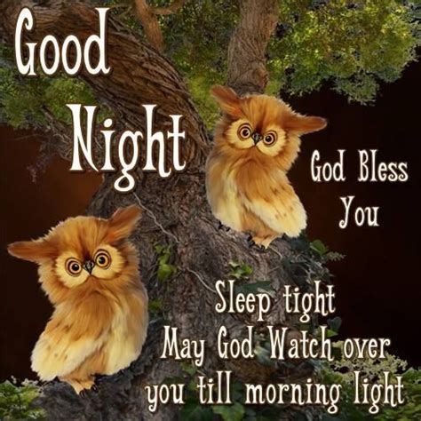 Good Night God Bless You Sleep Tight Pictures Photos And Images For