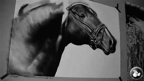 New users enjoy 60% off. Realistic drawing of horse (GFKStudio) - YouTube