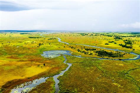 Moremi Game Reserve Botswana Tourism Organisation