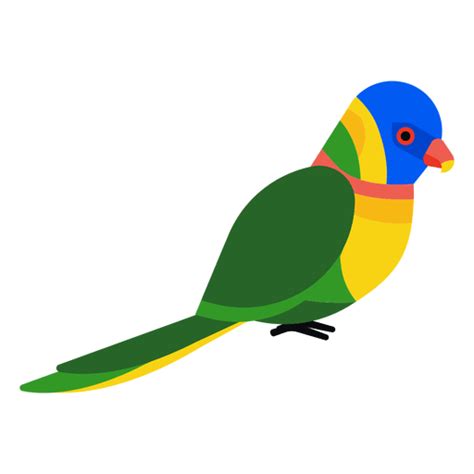 Parrot Illustration Transparent Png And Svg Vector File