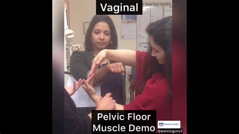 Vaginal Exam Pelvic Floor Demonstration Youtube