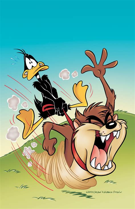 Looney Tunes Vol 1 208 Looney Tunes Wallpaper Looney Tunes