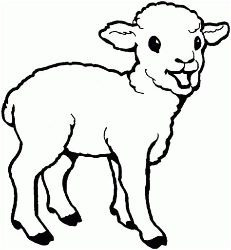 Cute Lamb Coloring Page