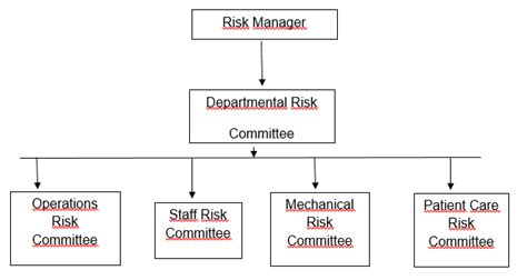 Zamra Health Centers Risk Management Meeting Essay