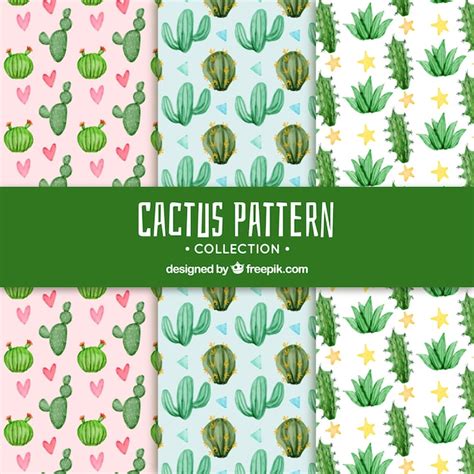 Free Vector Cactus Patterns With Original Style