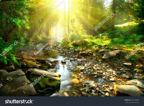 Mountain River With Forest Landscape Tranquil Waterfall