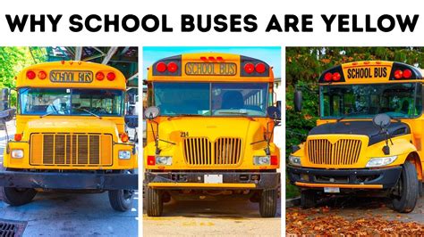 Thats Why School Buses Are Only Yellow And Black The Learning Zone