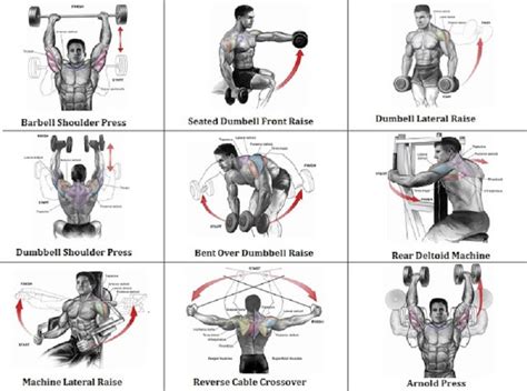 Dumbbell Shoulder Workout For Mass Eoua Blog
