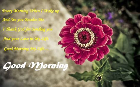 Good morning wishes images with flower , pink blue red green good morning photo wallpaper pics pictures download & share. Good Morning Quotes With Flowers. QuotesGram