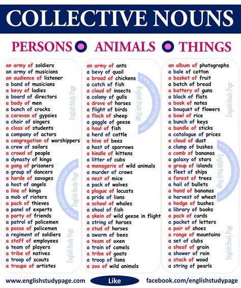 Examples Of Collective Nouns English Grammar Here Zohal