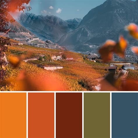 The Go To Guide For Autumn Colours