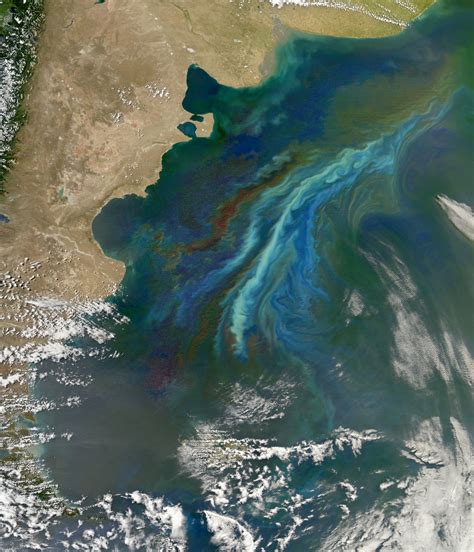 Select from premium ocean plankton of the highest quality. Marine Plankton Brighten Clouds over Southern Ocean ...