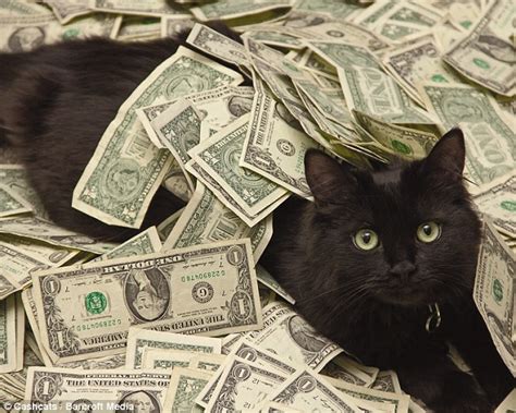 Niels pedersen at the u.c. World's wealthiest cats pose on site featuring top 'one ...