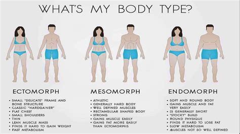Diet And Exercise For Endomorph Body Type Youtube