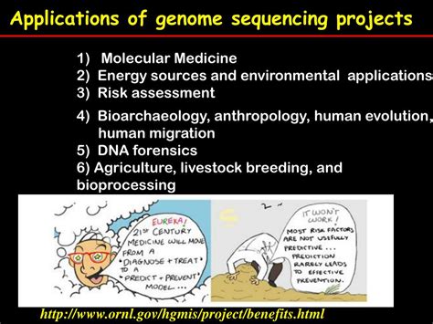Ppt Applications Of Genome Sequencing Projects Powerpoint