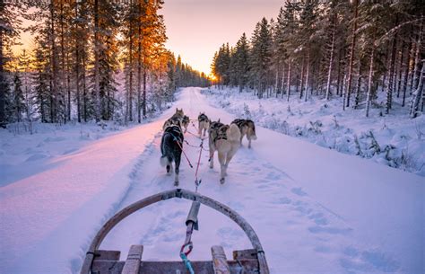Dog Sledding In Swedish Lapland Original Travel Blog Original Travel