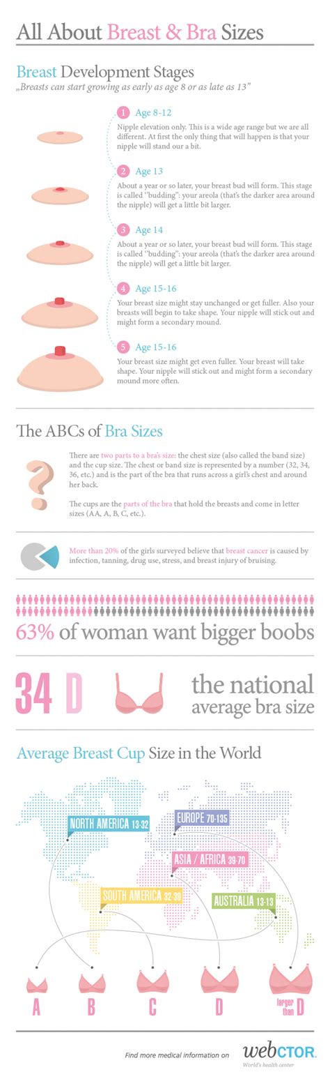 All About Breasts And Bra Sizes Visually