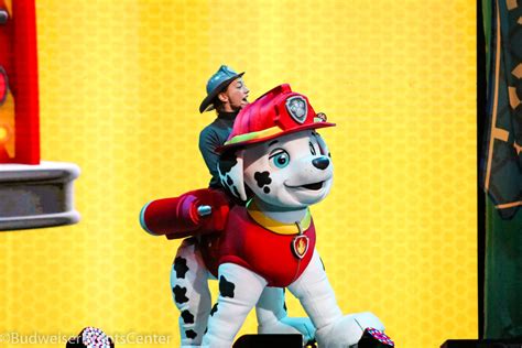 Paw Patrol Live Paw Patrol Live The Great Pirate Adventure The
