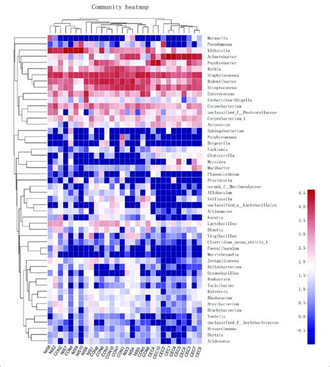 Heatmap Of Oral Bacteria Genera From The Three Groups The