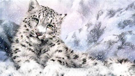 Snow Leopard Wallpapers Hd Wallpaper Cave