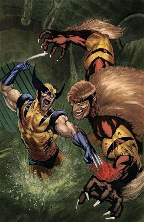 Wolverine Vs Sabretooth Marvel Comics Art Sabertooth Marvel Comics