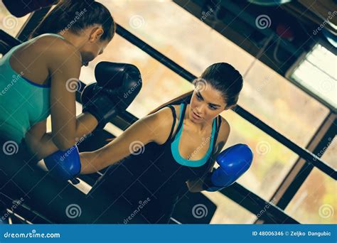 Two Female Boxers At Training Stock Photo Image Of Knockout