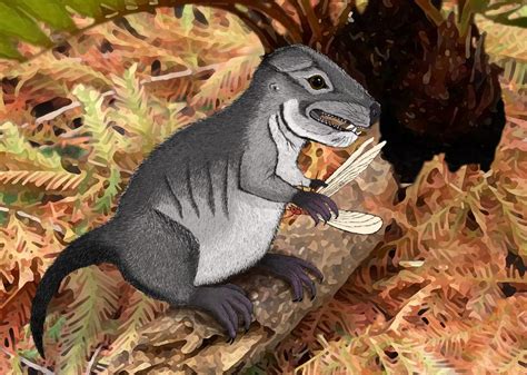 New Species Of Ancient Cynodont Discovered 220 Million Year Old