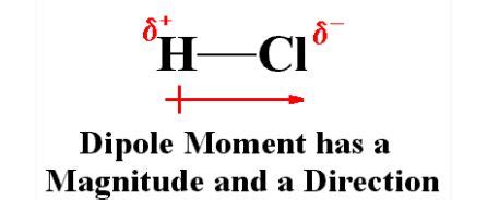 Momento Bipolar La Fisica Y Quimica