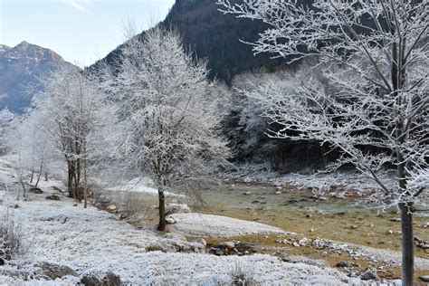 Free Images Landscape Tree Wilderness Branch Snow Winter Frost
